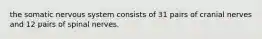 the somatic nervous system consists of 31 pairs of cranial nerves and 12 pairs of spinal nerves.