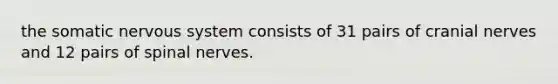 the somatic nervous system consists of 31 pairs of cranial nerves and 12 pairs of spinal nerves.