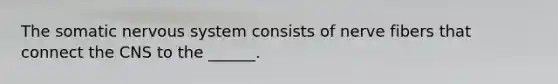 The somatic nervous system consists of nerve fibers that connect the CNS to the ______.