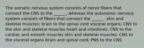 The somatic nervous system consists of nerve fibers that connect the CNS to the ______, whereas the autonomic nervous system consists of fibers that connect the ______. skin and skeletal muscles; brain to the spinal cord visceral organs; CNS to the skin and skeletal muscles heart and intestines; CNS to the cardiac and smooth muscles skin and skeletal muscles; CNS to the visceral organs brain and spinal cord; PNS to the CNS