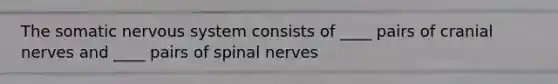 The somatic nervous system consists of ____ pairs of cranial nerves and ____ pairs of spinal nerves