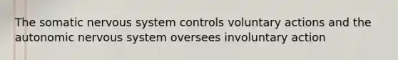 The somatic nervous system controls voluntary actions and the autonomic nervous system oversees involuntary action