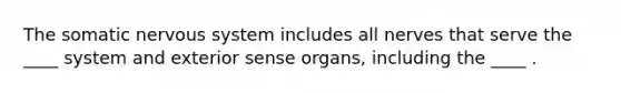 The somatic <a href='https://www.questionai.com/knowledge/kThdVqrsqy-nervous-system' class='anchor-knowledge'>nervous system</a> includes all nerves that serve the ____ system and exterior sense organs, including the ____ .
