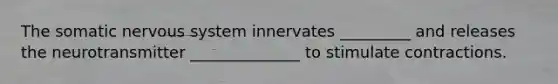 The somatic nervous system innervates _________ and releases the neurotransmitter ______________ to stimulate contractions.