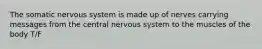 The somatic nervous system is made up of nerves carrying messages from the central nervous system to the muscles of the body T/F