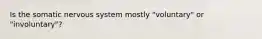 Is the somatic nervous system mostly "voluntary" or "involuntary"?
