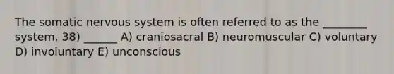 The somatic nervous system is often referred to as the ________ system. 38) ______ A) craniosacral B) neuromuscular C) voluntary D) involuntary E) unconscious