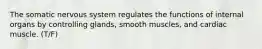 The somatic nervous system regulates the functions of internal organs by controlling glands, smooth muscles, and cardiac muscle. (T/F)