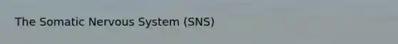 The Somatic <a href='https://www.questionai.com/knowledge/kThdVqrsqy-nervous-system' class='anchor-knowledge'>nervous system</a> (SNS)