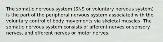 The somatic <a href='https://www.questionai.com/knowledge/kThdVqrsqy-nervous-system' class='anchor-knowledge'>nervous system</a> (SNS or voluntary nervous system) is the part of the peripheral nervous system associated with the voluntary control of body movements via skeletal muscles. The somatic nervous system consists of afferent nerves or sensory nerves, and efferent nerves or motor nerves.