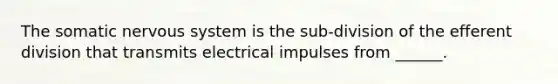 The somatic nervous system is the sub-division of the efferent division that transmits electrical impulses from ______.