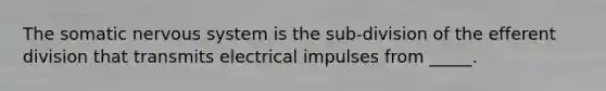 The somatic nervous system is the sub-division of the efferent division that transmits electrical impulses from _____.