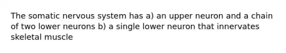 The somatic nervous system has a) an upper neuron and a chain of two lower neurons b) a single lower neuron that innervates skeletal muscle