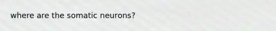 where are the somatic neurons?
