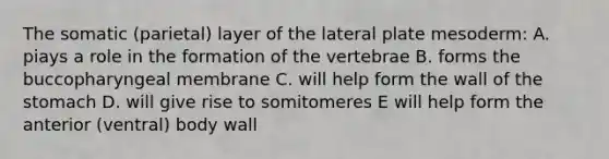 The somatic (parietal) layer of the lateral plate mesoderm: A. piays a role in the formation of the vertebrae B. forms the buccopharyngeal membrane C. will help form the wall of the stomach D. will give rise to somitomeres E will help form the anterior (ventral) body wall