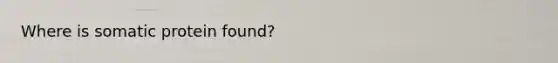 Where is somatic protein found?
