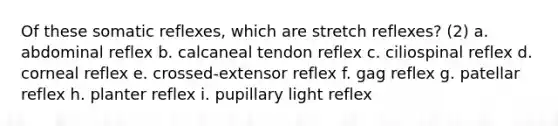 Of these somatic reflexes, which are stretch reflexes? (2) a. abdominal reflex b. calcaneal tendon reflex c. ciliospinal reflex d. corneal reflex e. crossed-extensor reflex f. gag reflex g. patellar reflex h. planter reflex i. pupillary light reflex