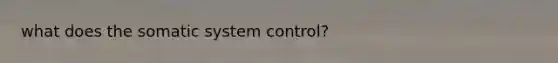 what does the somatic system control?