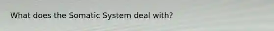 What does the Somatic System deal with?