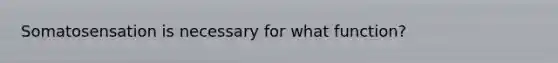 Somatosensation is necessary for what function?