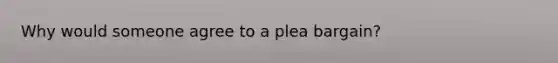 Why would someone agree to a plea bargain?