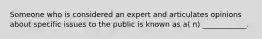 Someone who is considered an expert and articulates opinions about specific issues to the public is known as a( n) ____________.