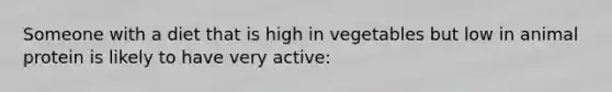 Someone with a diet that is high in vegetables but low in animal protein is likely to have very active: