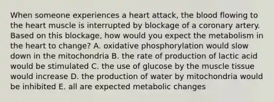 When someone experiences a heart attack, the blood flowing to the heart muscle is interrupted by blockage of a coronary artery. Based on this blockage, how would you expect the metabolism in the heart to change? A. oxidative phosphorylation would slow down in the mitochondria B. the rate of production of lactic acid would be stimulated C. the use of glucose by the muscle tissue would increase D. the production of water by mitochondria would be inhibited E. all are expected metabolic changes