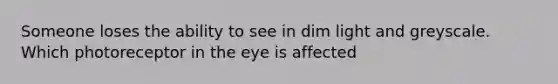 Someone loses the ability to see in dim light and greyscale. Which photoreceptor in the eye is affected