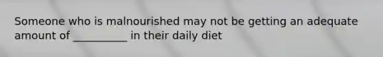 Someone who is malnourished may not be getting an adequate amount of __________ in their daily diet