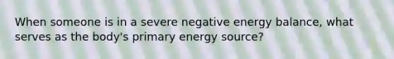 When someone is in a severe negative energy balance, what serves as the body's primary energy source?