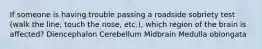 If someone is having trouble passing a roadside sobriety test (walk the line, touch the nose, etc.), which region of the brain is affected? Diencephalon Cerebellum Midbrain Medulla oblongata