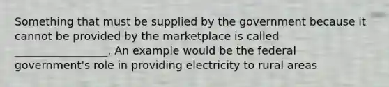 Something that must be supplied by the government because it cannot be provided by the marketplace is called _________________. An example would be the federal government's role in providing electricity to rural areas