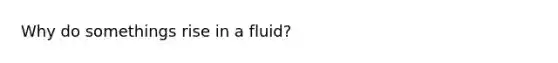 Why do somethings rise in a fluid?