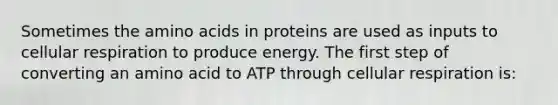 Sometimes the amino acids in proteins are used as inputs to cellular respiration to produce energy. The first step of converting an amino acid to ATP through cellular respiration is: