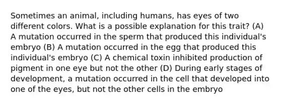 Sometimes an animal, including humans, has eyes of two different colors. What is a possible explanation for this trait? (A) A mutation occurred in the sperm that produced this individual's embryo (B) A mutation occurred in the egg that produced this individual's embryo (C) A chemical toxin inhibited production of pigment in one eye but not the other (D) During early stages of development, a mutation occurred in the cell that developed into one of the eyes, but not the other cells in the embryo