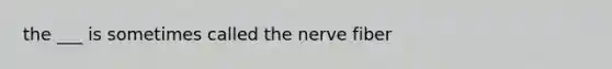 the ___ is sometimes called the nerve fiber