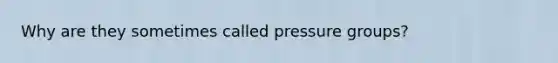 Why are they sometimes called pressure groups?