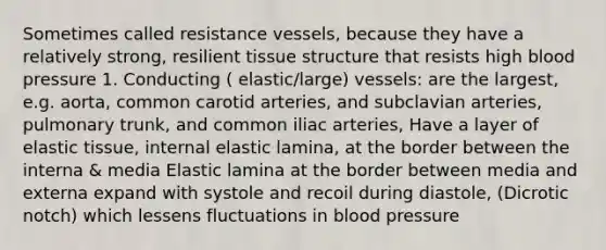 Sometimes called resistance vessels, because they have a relatively strong, resilient tissue structure that resists high <a href='https://www.questionai.com/knowledge/kD0HacyPBr-blood-pressure' class='anchor-knowledge'>blood pressure</a> 1. Conducting ( elastic/large) vessels: are the largest, e.g. aorta, common carotid arteries, and subclavian arteries, pulmonary trunk, and common iliac arteries, Have a layer of elastic tissue, internal elastic lamina, at the border between the interna & media Elastic lamina at the border between media and externa expand with systole and recoil during diastole, (Dicrotic notch) which lessens fluctuations in blood pressure