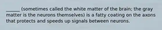 ______ (sometimes called the white matter of the brain; the gray matter is the neurons themselves) is a fatty coating on the axons that protects and speeds up signals between neurons.