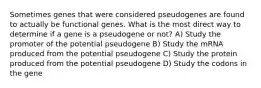 Sometimes genes that were considered pseudogenes are found to actually be functional genes. What is the most direct way to determine if a gene is a pseudogene or not? A) Study the promoter of the potential pseudogene B) Study the mRNA produced from the potential pseudogene C) Study the protein produced from the potential pseudogene D) Study the codons in the gene