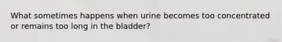 What sometimes happens when urine becomes too concentrated or remains too long in the bladder?