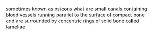 sometimes known as osteons what are small canals containing blood vessels running parallel to the surface of compact bone and are surrounded by concentric rings of solid bone called lamellae