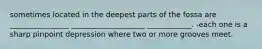 sometimes located in the deepest parts of the fossa are ________________ ____________________ ____________. -each one is a sharp pinpoint depression where two or more grooves meet.