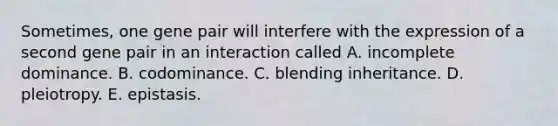 Sometimes, one gene pair will interfere with the expression of a second gene pair in an interaction called A. incomplete dominance. B. codominance. C. blending inheritance. D. pleiotropy. E. epistasis.