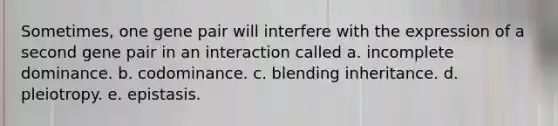 Sometimes, one gene pair will interfere with the expression of a second gene pair in an interaction called a. incomplete dominance. b. codominance. c. blending inheritance. d. pleiotropy. e. epistasis.