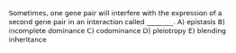 Sometimes, one gene pair will interfere with the expression of a second gene pair in an interaction called ________. A) epistasis B) incomplete dominance C) codominance D) pleiotropy E) blending inheritance