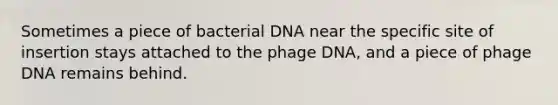 Sometimes a piece of bacterial DNA near the specific site of insertion stays attached to the phage DNA, and a piece of phage DNA remains behind.