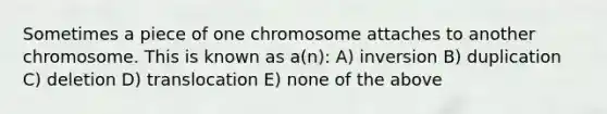 Sometimes a piece of one chromosome attaches to another chromosome. This is known as a(n): A) inversion B) duplication C) deletion D) translocation E) none of the above