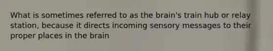 What is sometimes referred to as the brain's train hub or relay station, because it directs incoming sensory messages to their proper places in the brain